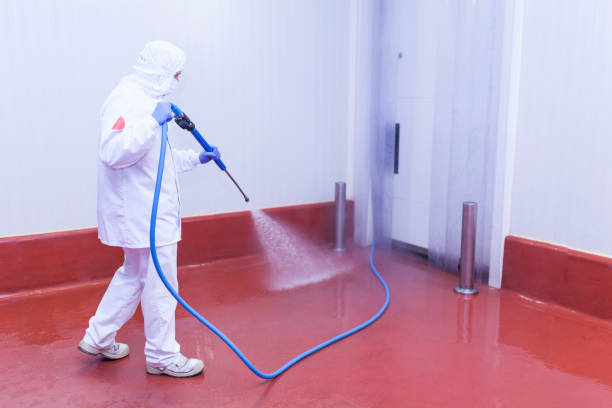 Best Boat and Dock Cleaning  in Fern Prairie, WA